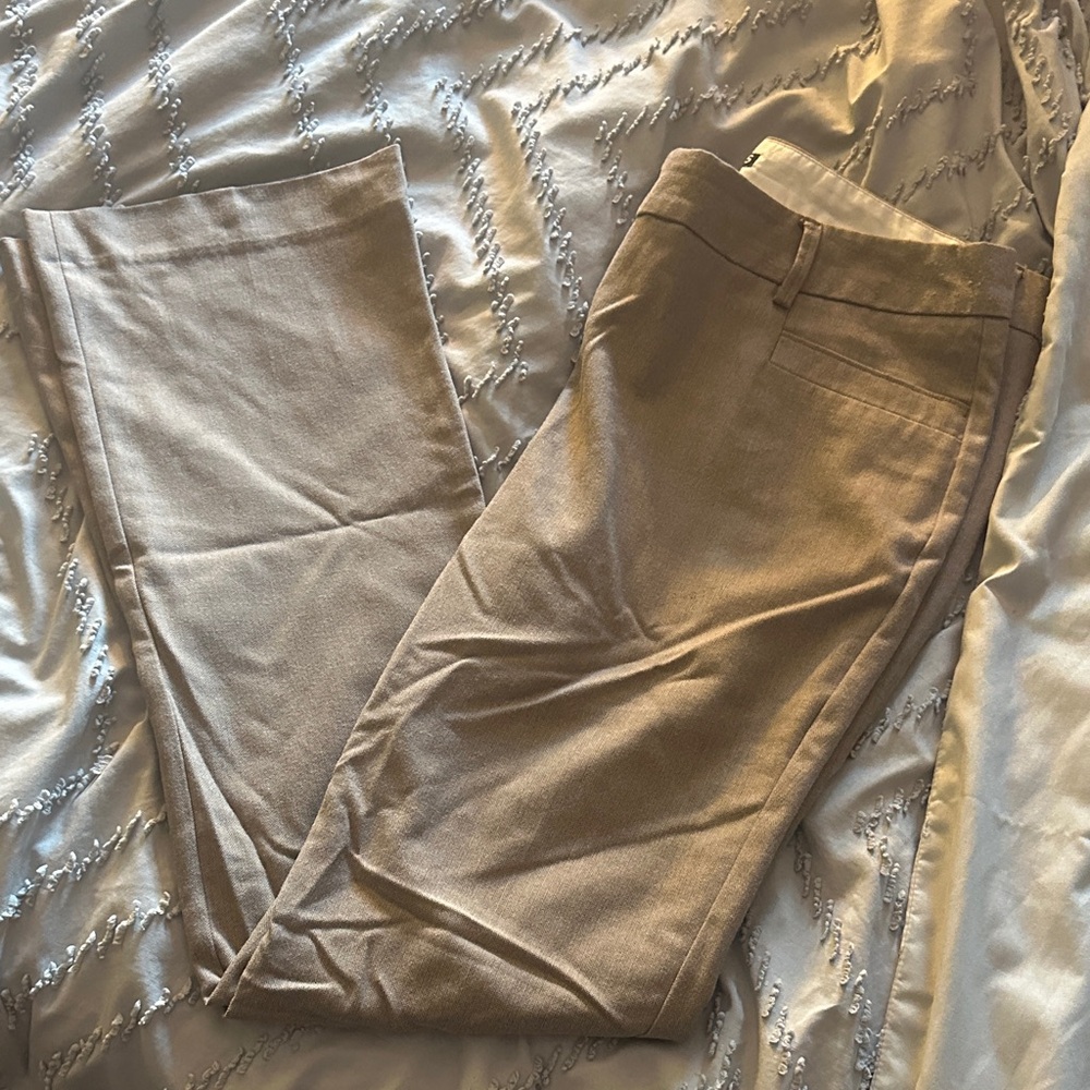 Express Columnist Dress Pants